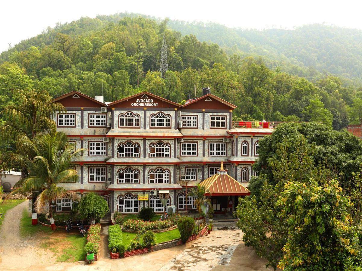 Avocado Orchid Resort Hetauda المظهر الخارجي الصورة